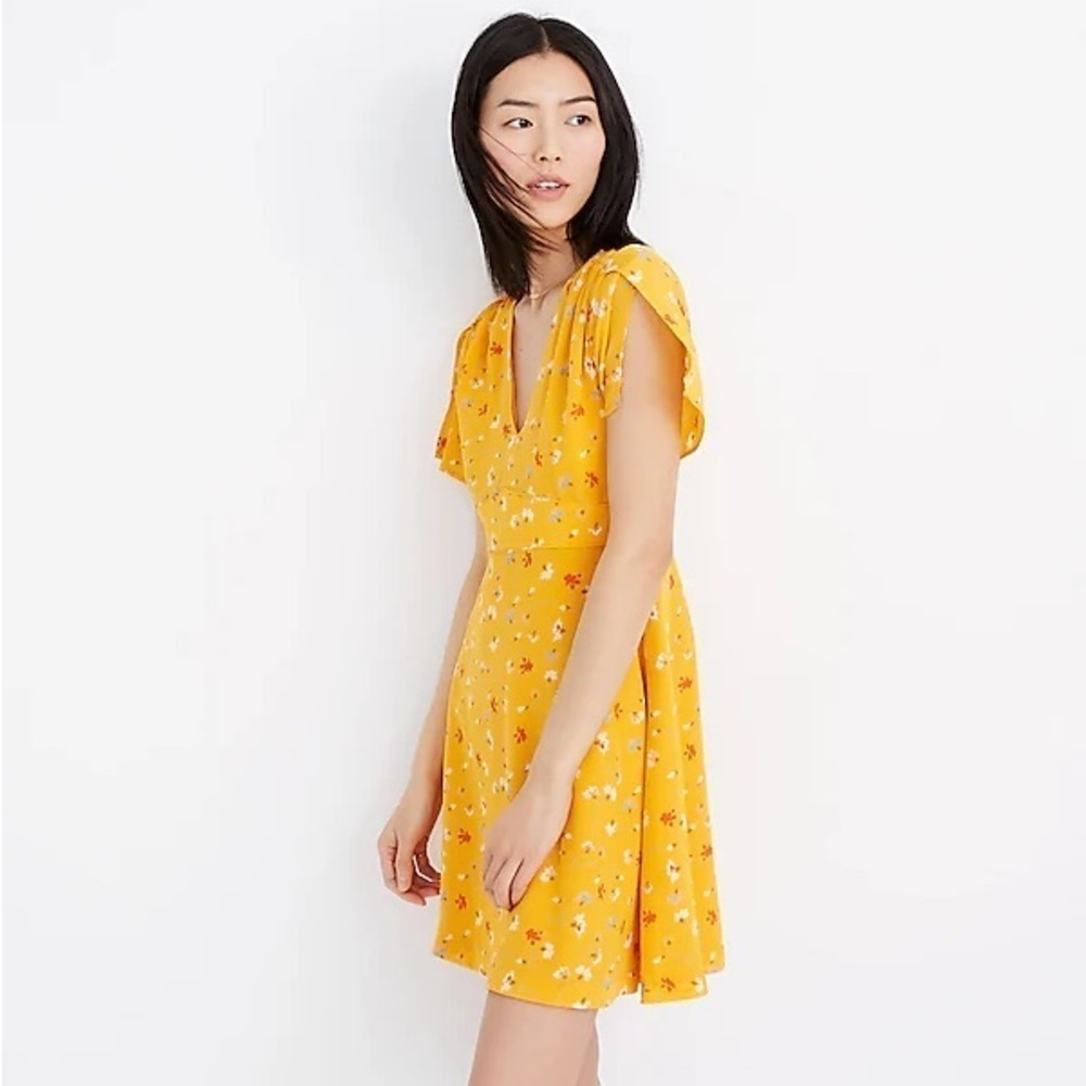 Madewell Belladona Silk Dress In Painted Carnations Boho Fall Chic Sz 12